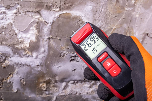 Best Mold Remediation Experts  in Lazy Mountain, AK